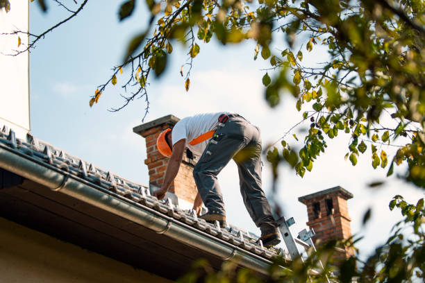 Best Emergency Roof Repair  in Weidman, MI