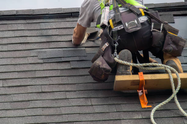 Best Residential Roof Replacement  in Weidman, MI