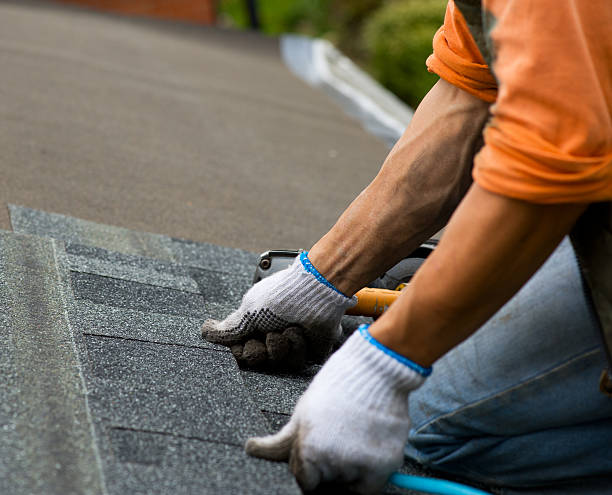 Best Roof Maintenance Services  in Weidman, MI