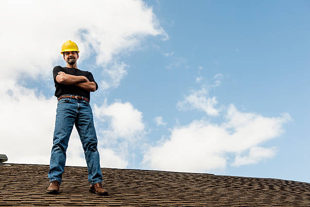 Best Metal Roofing Contractor  in Weidman, MI