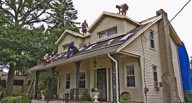 Best New Roof Installation  in Weidman, MI